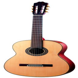 红棉乐器 优质产品与加盟前景解析